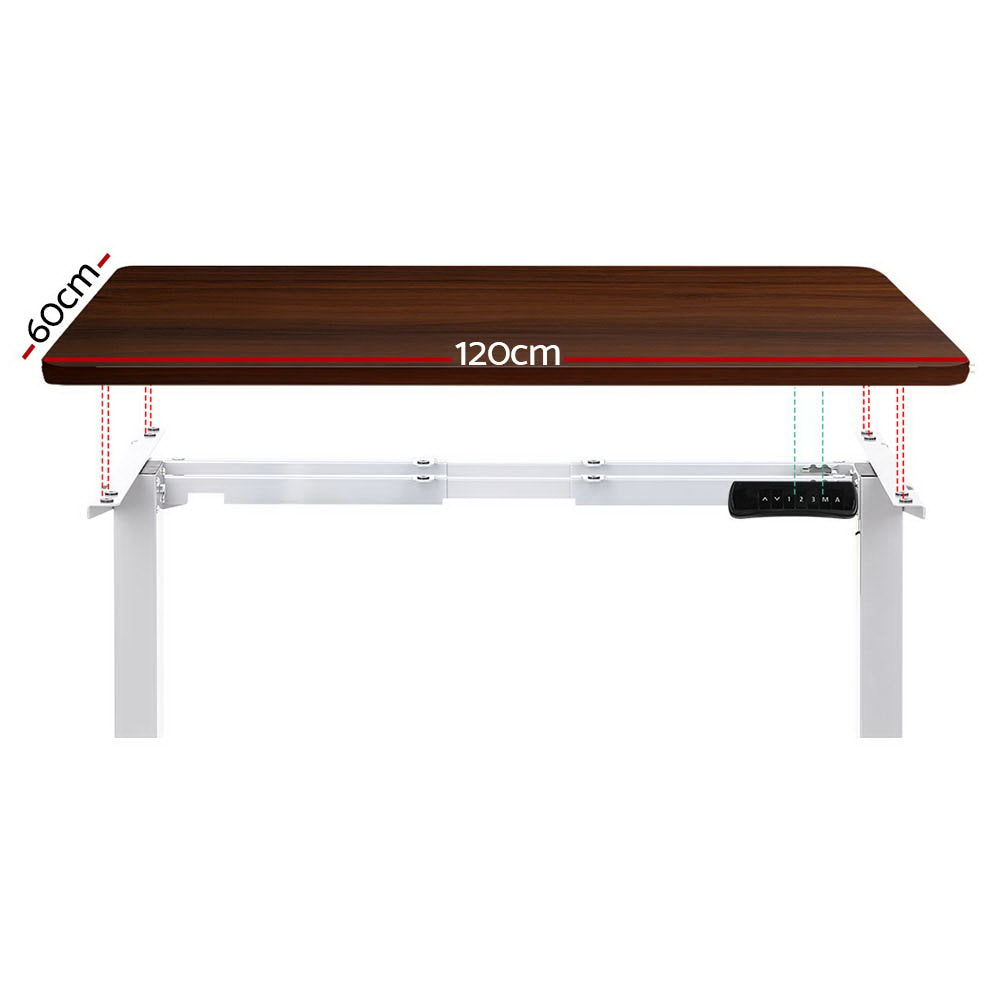 Standing Desk Motorised Dual Motor 120CM Walnut